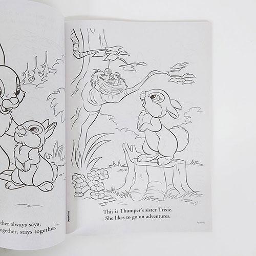 ディズニー バニーズ Bunnie ぬりえ Happy Hoppy Days (野遊び) 17079a