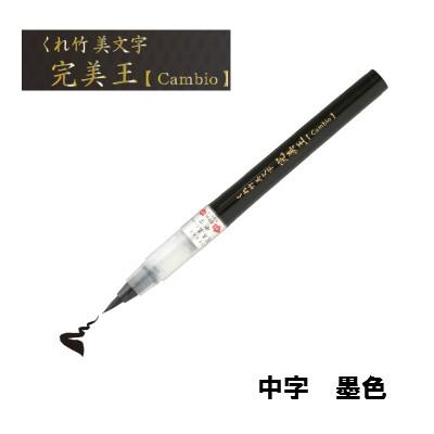 【メール便出荷可能】　呉竹　くれ竹　筆ペン　くれ竹美文字　完美王　墨液　中字　ＸＯ５０−１０Ｓ｜prezataisaku