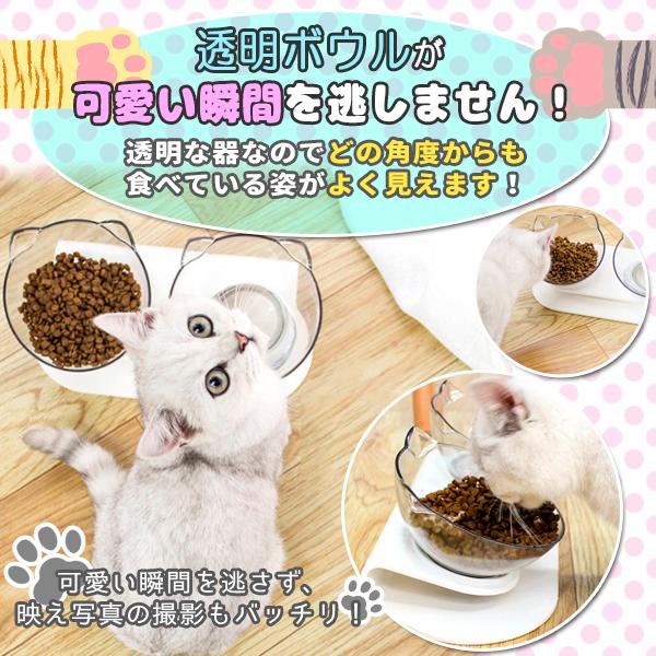 フードボウル 2個セット 猫 餌皿 エサ皿 食器 犬 小型犬 フード