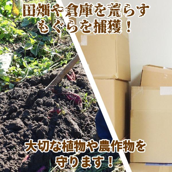 モグラ退治 モグラ捕獲 もぐら駆除 退治 モグラ捕獲器 モグラ撃退器 2個セット もぐら もぐら退治 撃退 |  | 01