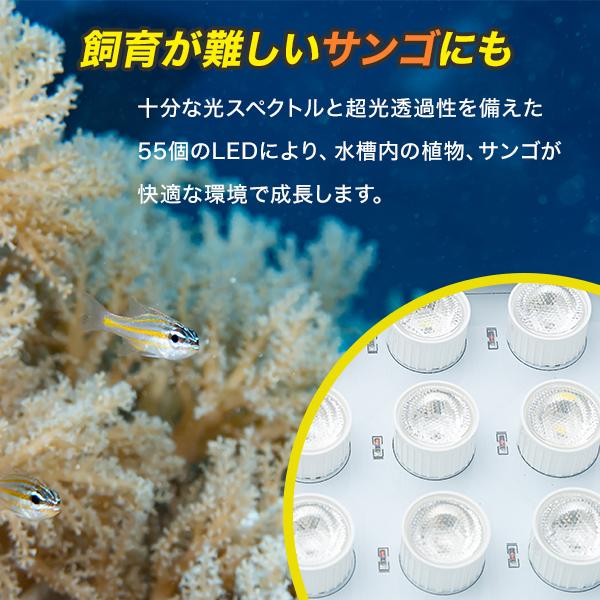 水槽 LED ライト 海水魚 サンゴ 水槽用 165w カスタム 本体 UV 6個 