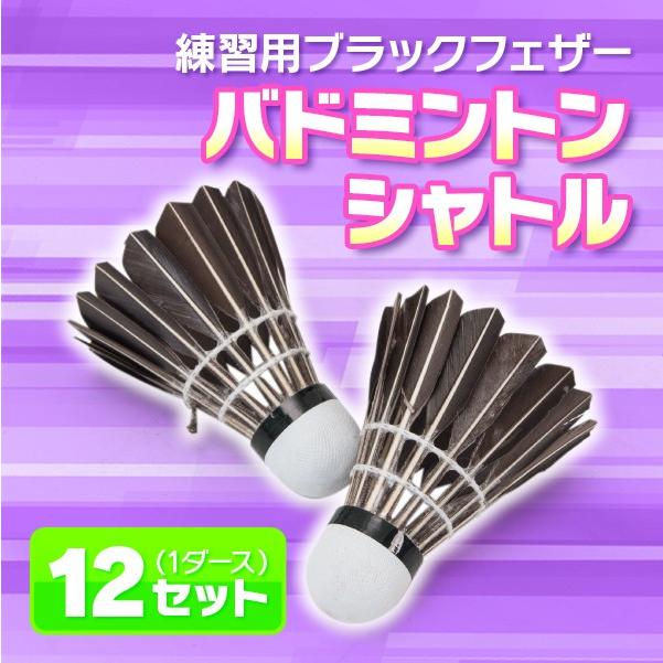 練習用 バドミントン シャトル 黒色羽根 12個セット 1 ダース ブラック フェザー Shuttle12set プライスバリュー 通販 Yahoo ショッピング