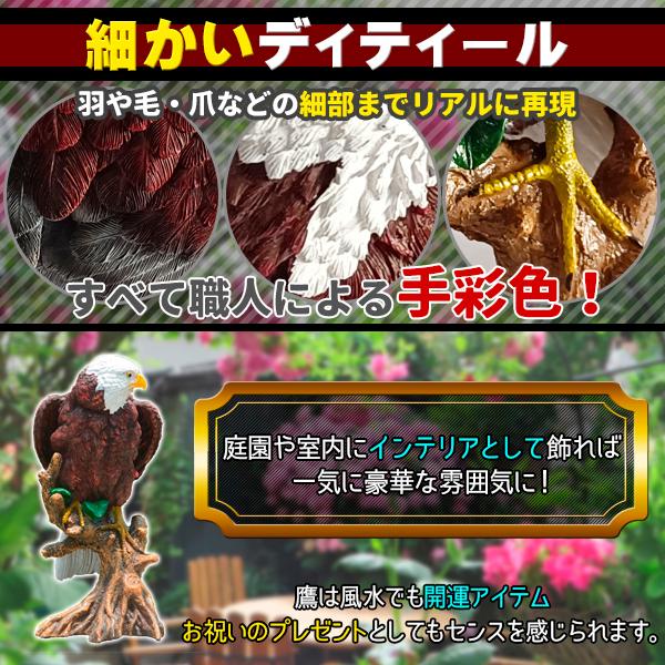リアルイーグル 鷹 鷲 タカ ワシ 置物 大迫力 効果絶大 30cm 鳥 リアルイーグル 鷹 鷲 タカ ワシ 置物 大迫力 効果絶大 30cm 鳥