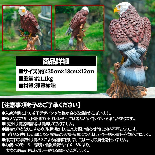 リアルイーグル 鷹 鷲 タカ ワシ 置物 大迫力 効果絶大 30cm 鳥よけ カラス スズメ ハト 害鳥 オブジェ ムクドリ ホーク｜price-value-com｜04