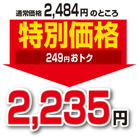 期間限定特価 ルイボス茶 60袋 単品 有機JAS認定 オーガニックルイボス