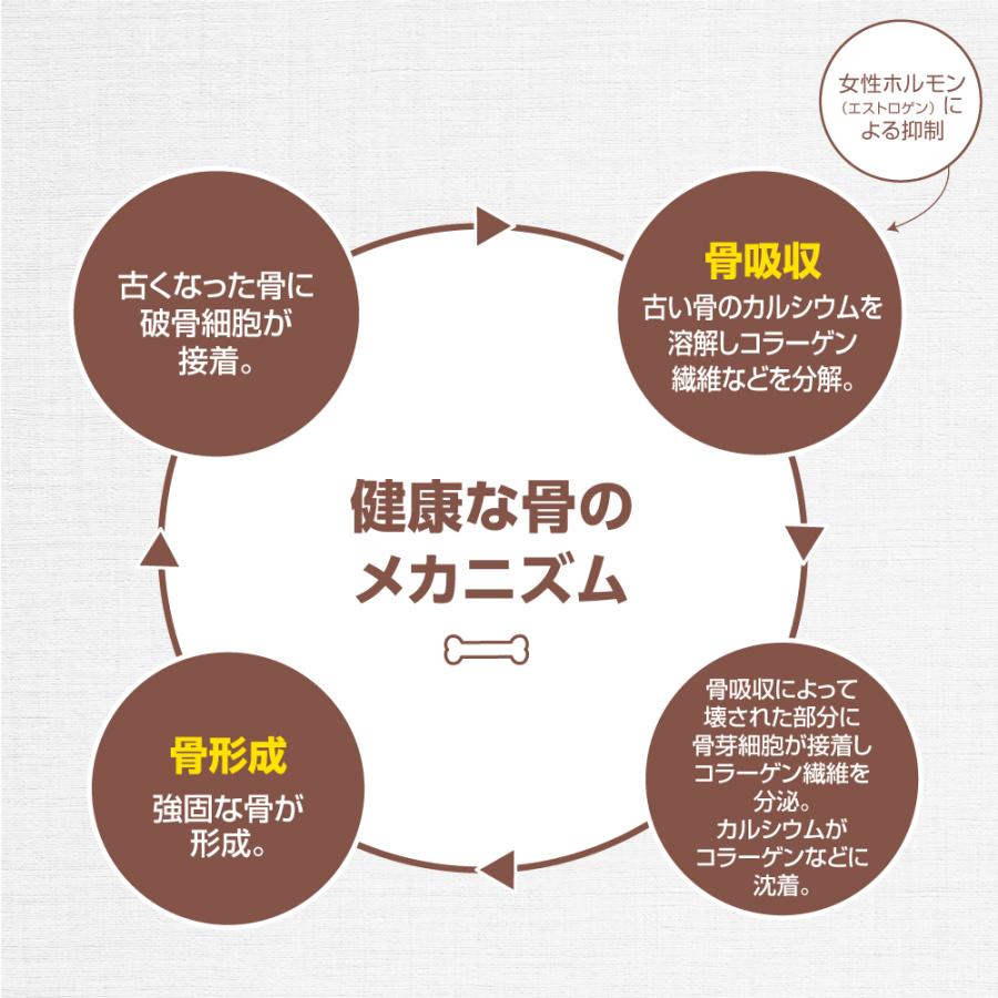 丈夫な骨の成分の維持に役立つ 健骨貯金 機能性表示食品 60粒 90日分 3個組 新登場 大豆イソフラボン カルシウム ビタミンd ビタミンk ほね サプリ B1016103 001 プリセプト通販事業部 通販 Yahoo ショッピング