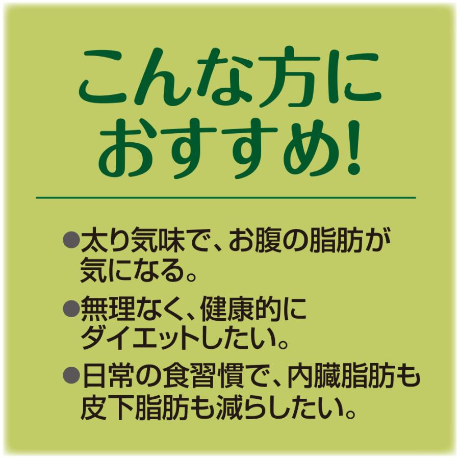 期間限定特価 肥満気味の方のお腹の脂肪を減らす カテキン減肥粒 機能