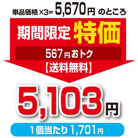 期間限定特価 肥満気味の方のお腹の脂肪を減らす カテキン減肥粒 機能