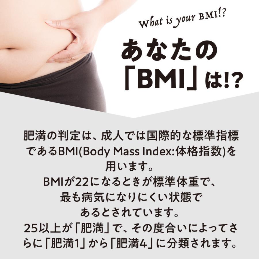 期間限定特価+1個付 肥満気味の方のお腹の脂肪を減らす カテキン減肥粒