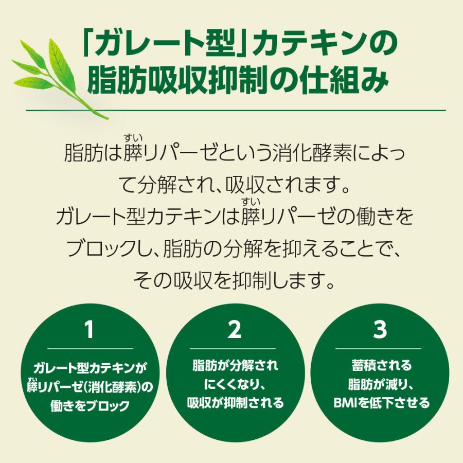 期間限定特価+1個付 肥満気味の方のお腹の脂肪を減らす カテキン減肥粒