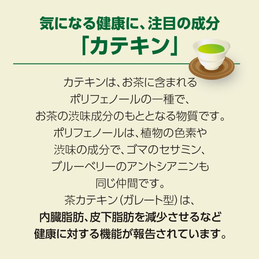 期間限定特価+1個付 肥満気味の方のお腹の脂肪を減らす カテキン減肥粒