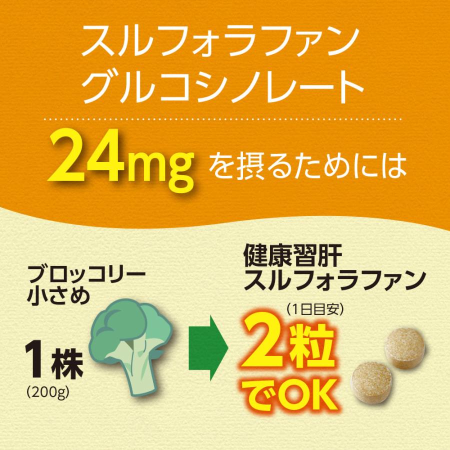 期間限定特価+1個付 肝機能を示す血中ALT値を下げる 健康習肝
