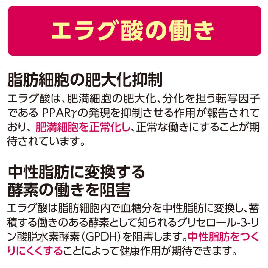 スリムバリアV6 機能性表示食品 60粒 30日分 3個組 送料無料 体重 体脂肪 血中中性脂肪 内臓脂肪 ウエスト周囲径 エラグ酸 ダイエット｜pricept｜06