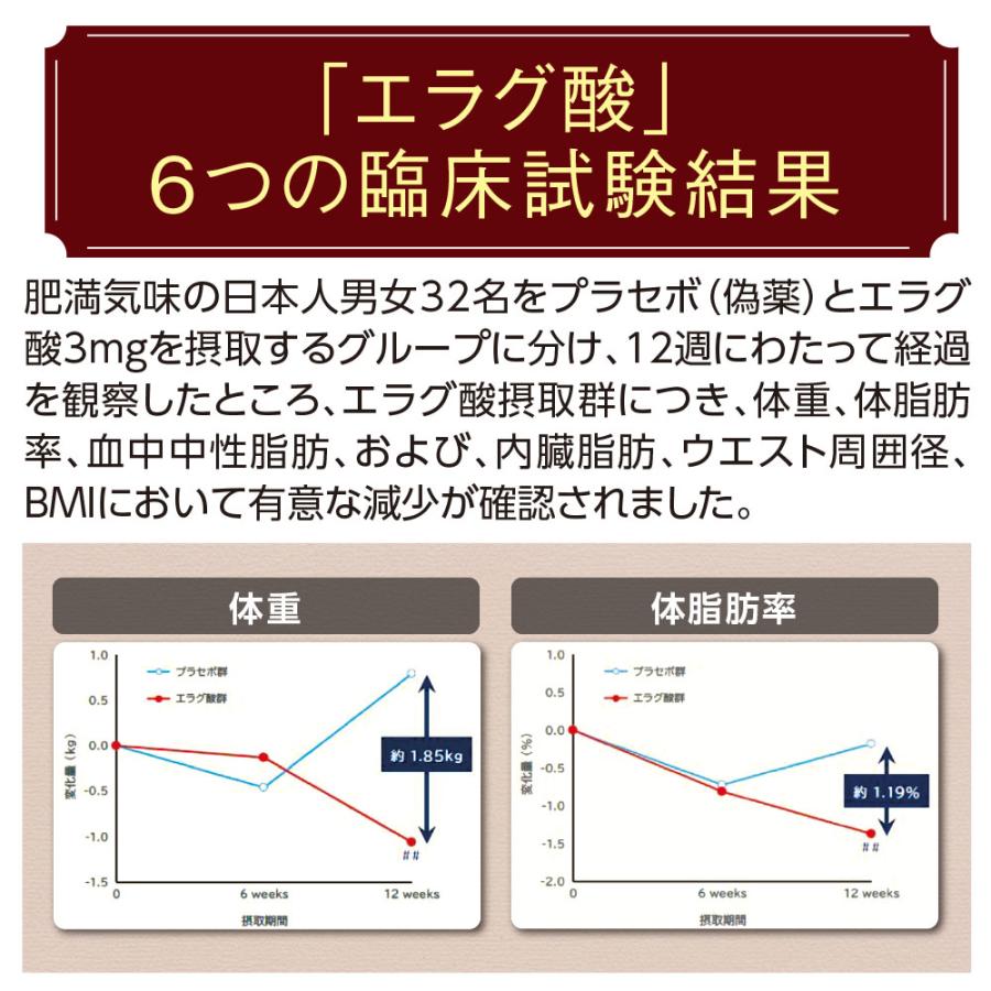 スリムフィットコーヒー 機能性表示食品 30本 30日分 単品 新登場 送料無料 お試し特価 １世帯様2点限り 体重 体脂肪 血中中性脂肪 内臓脂肪 ダイエットコーヒー｜pricept｜09