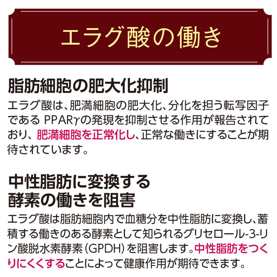 期間限定オートミールクッキー付 スリムフィットコーヒー 機能性表示