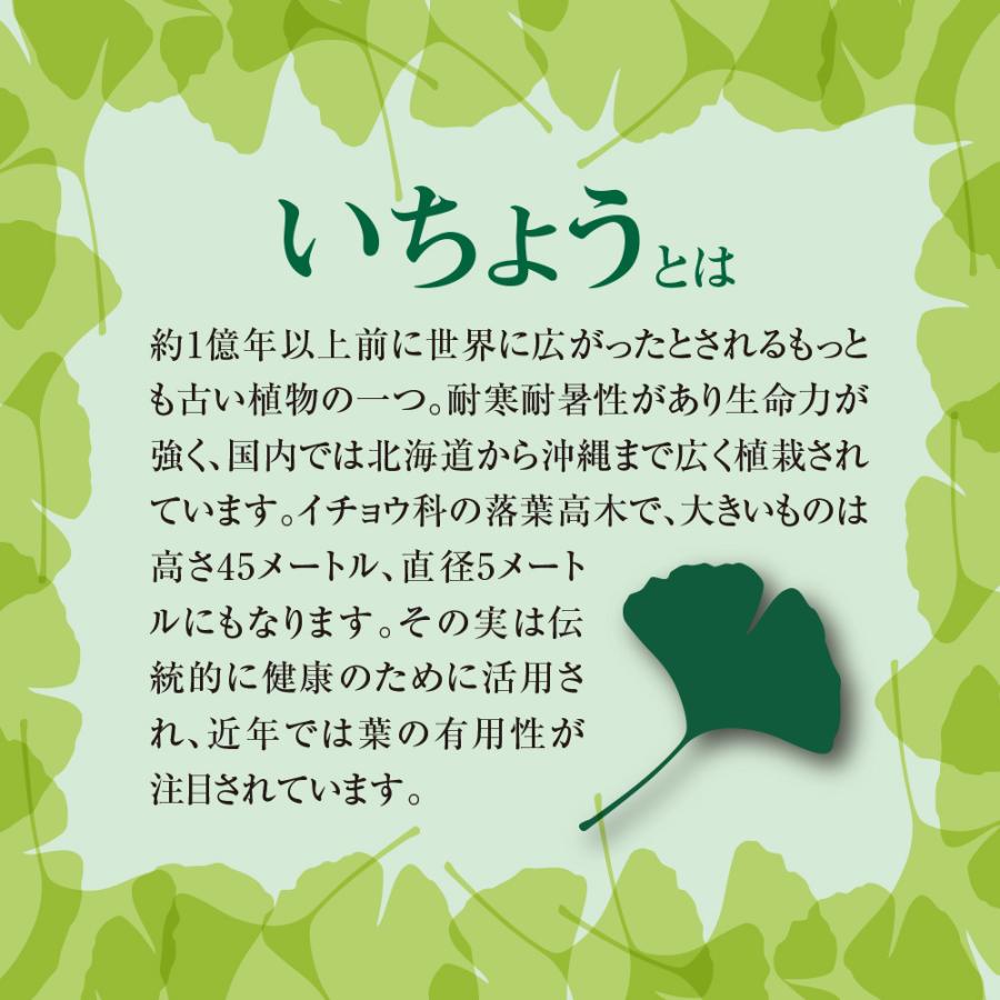記憶力を維持する いちょう葉粒 30粒30日分 単品 新登場 機能性表示食品 サプリメント サプリ 健康食品 イチョウ 認知機能 もの忘れ 物忘れ うっかり B 001 プリセプト通販事業部 通販 Yahoo ショッピング