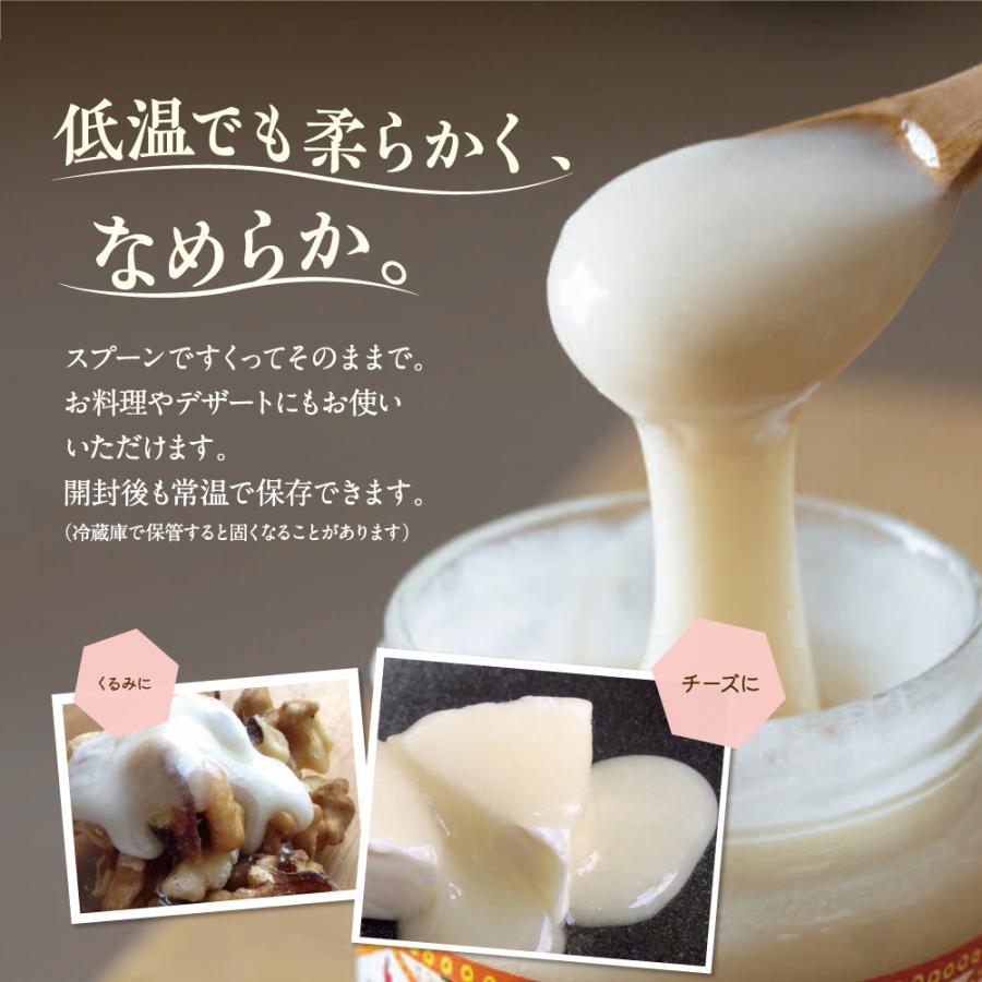 エコチャージジャパン キルギスの白いはちみつ 250g 3個組 送料無料 非