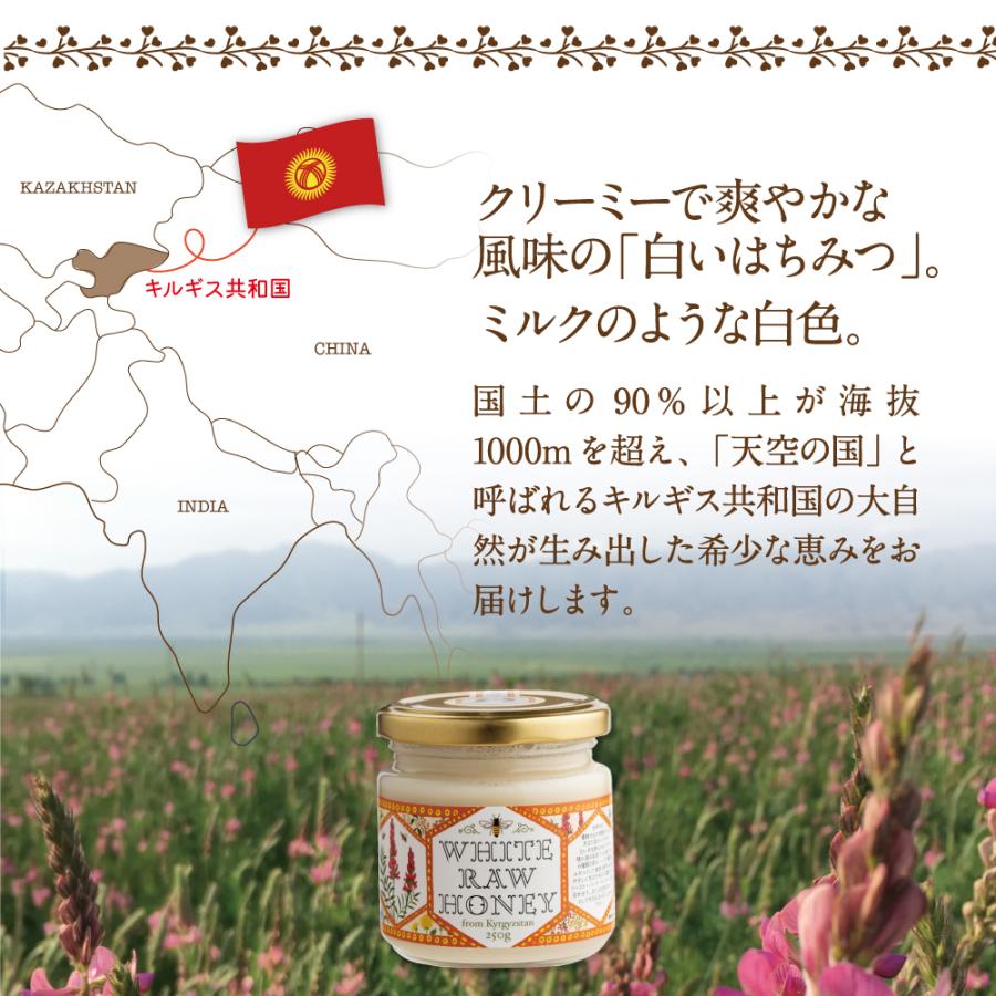 エコチャージジャパン キルギスの白いはちみつ 250g 3個組 送料無料 非