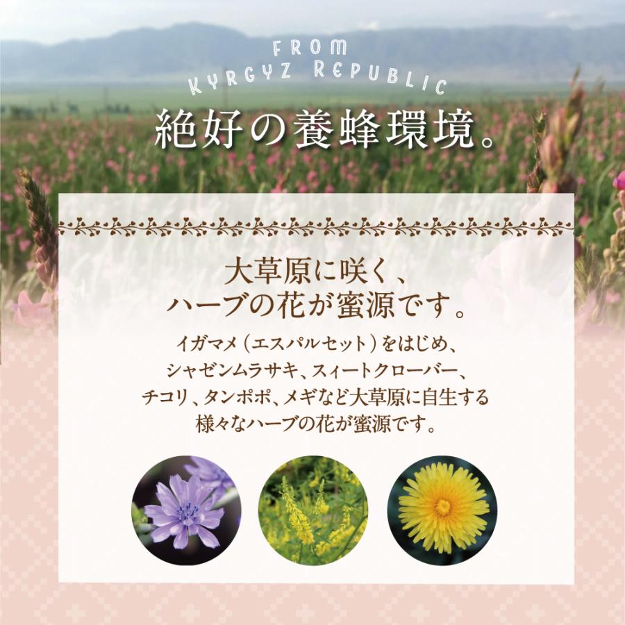 エコチャージジャパン キルギスの白いはちみつ 250g 5個組 送料無料 非加熱生はちみつ ローハニー 蜂蜜_10