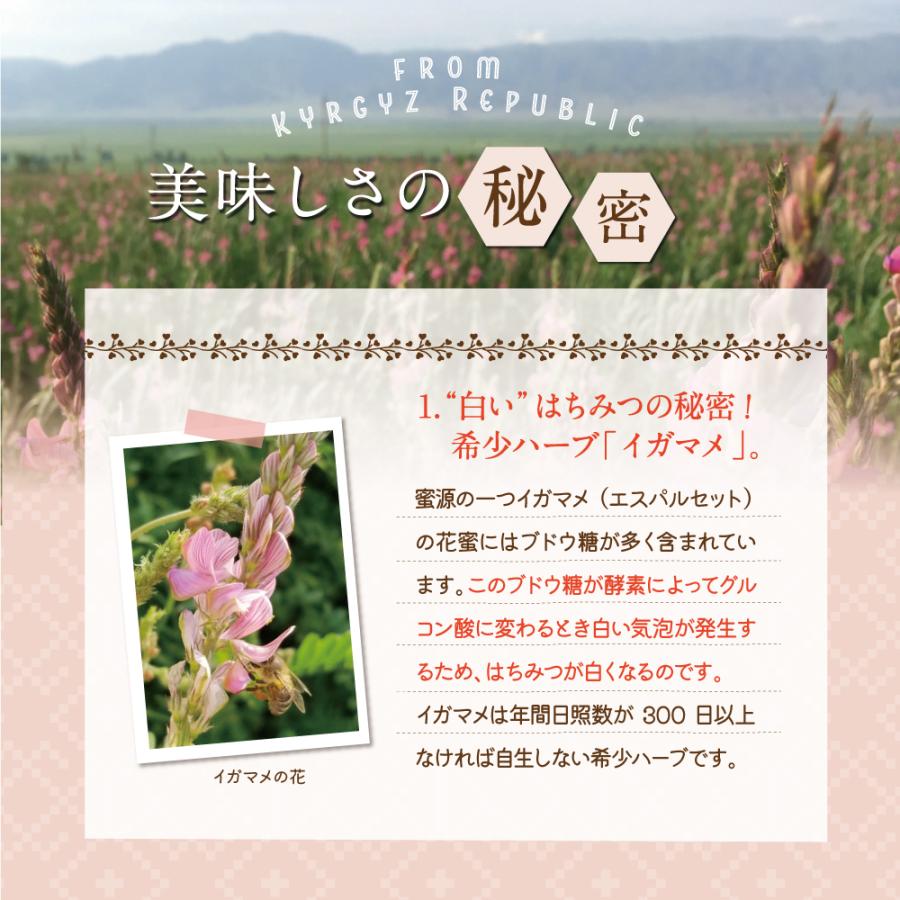 エコチャージジャパン キルギスの白いはちみつ 250g 5個組 送料無料 非加熱生はちみつ ローハニー 蜂蜜_11