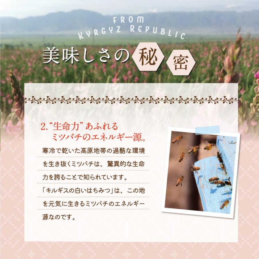 エコチャージジャパン キルギスの白いはちみつ 250g 5個組 送料無料 非加熱生はちみつ ローハニー 蜂蜜_12