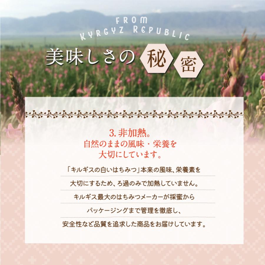 エコチャージジャパン キルギスの白いはちみつ 250g 5個組 送料無料 非加熱生はちみつ ローハニー 蜂蜜_13
