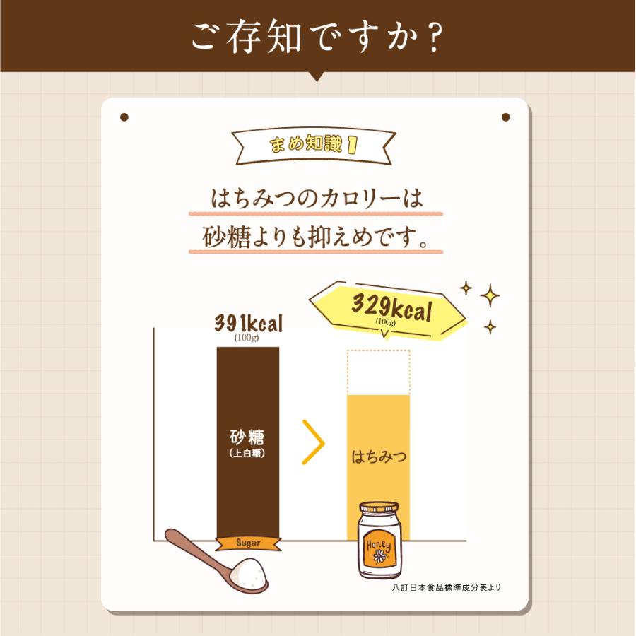 エコチャージジャパン キルギスの白いはちみつ 250g 5個組 送料無料 非加熱生はちみつ ローハニー 蜂蜜_16