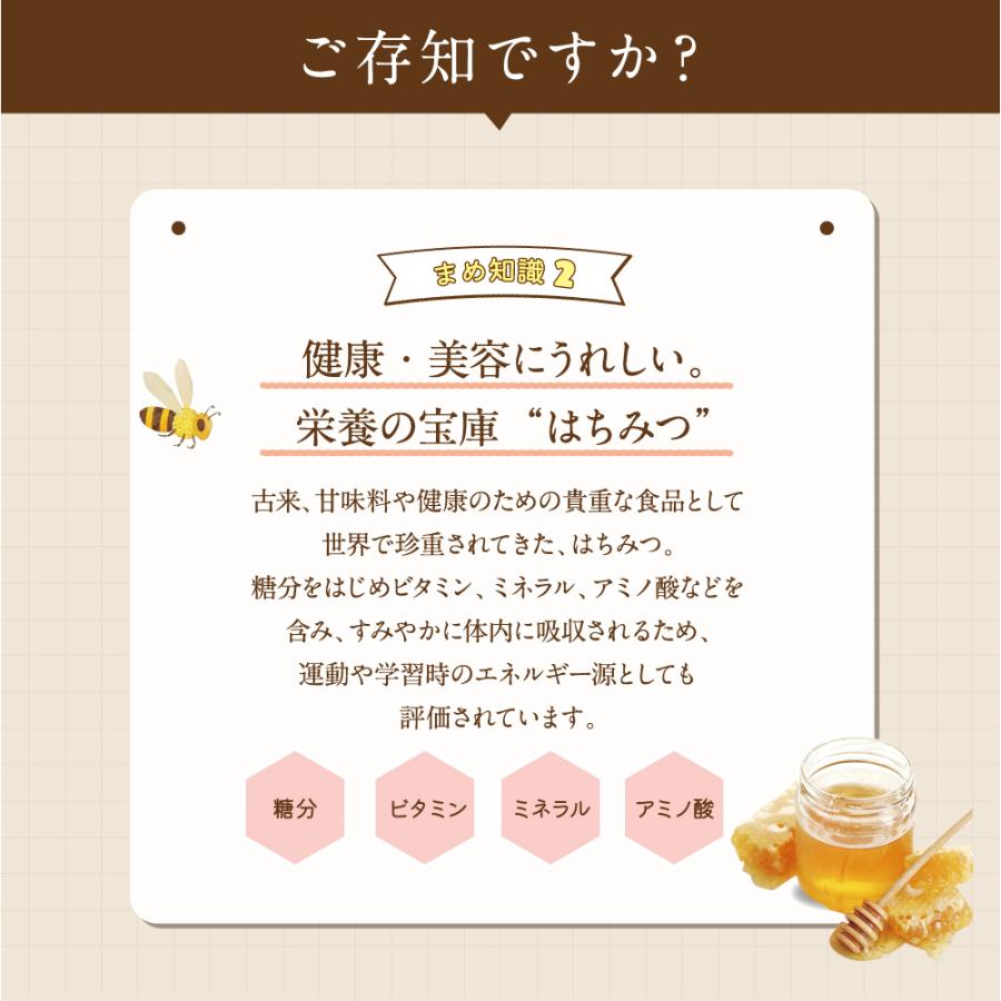 エコチャージジャパン キルギスの白いはちみつ 250g 5個組 送料無料 非加熱生はちみつ ローハニー 蜂蜜_17