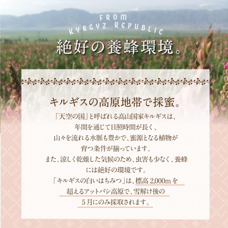 エコチャージジャパン キルギスの白いはちみつ 250g 5個組 送料無料 非加熱生はちみつ ローハニー 蜂蜜_9