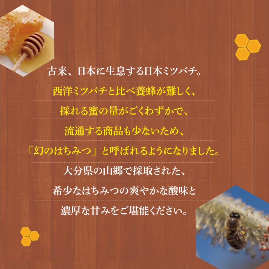 日本ミツバチの自然蜂蜜 220g 単品 新登場 化粧箱入り大分県産百花蜜