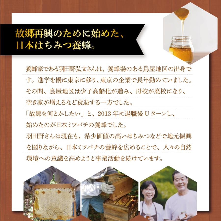 期間限定ポイント10倍 日本ミツバチの自然蜂蜜 220g 単品 新登場 化粧