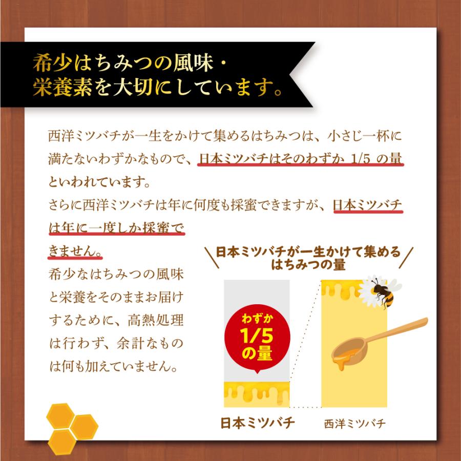 期間限定ポイント10倍 日本ミツバチの自然蜂蜜 220g 単品 新登場 化粧