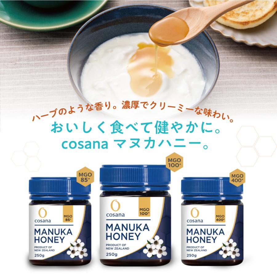 期間限定特価 コサナ マヌカハニー MGO100+ 250g 単品 国内正規品 抗菌