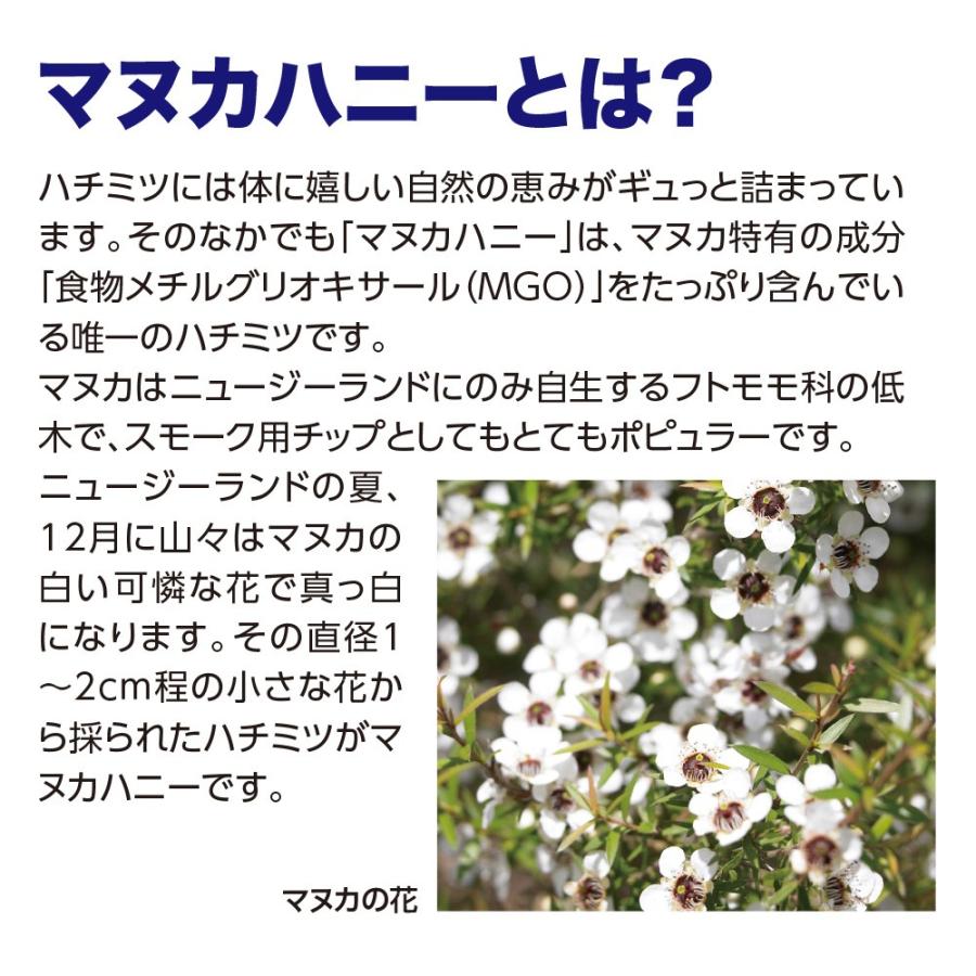 期間限定特価 マヌカハニー MGO573+ 旧MGO550+ UMF16+ 250g 送料無料