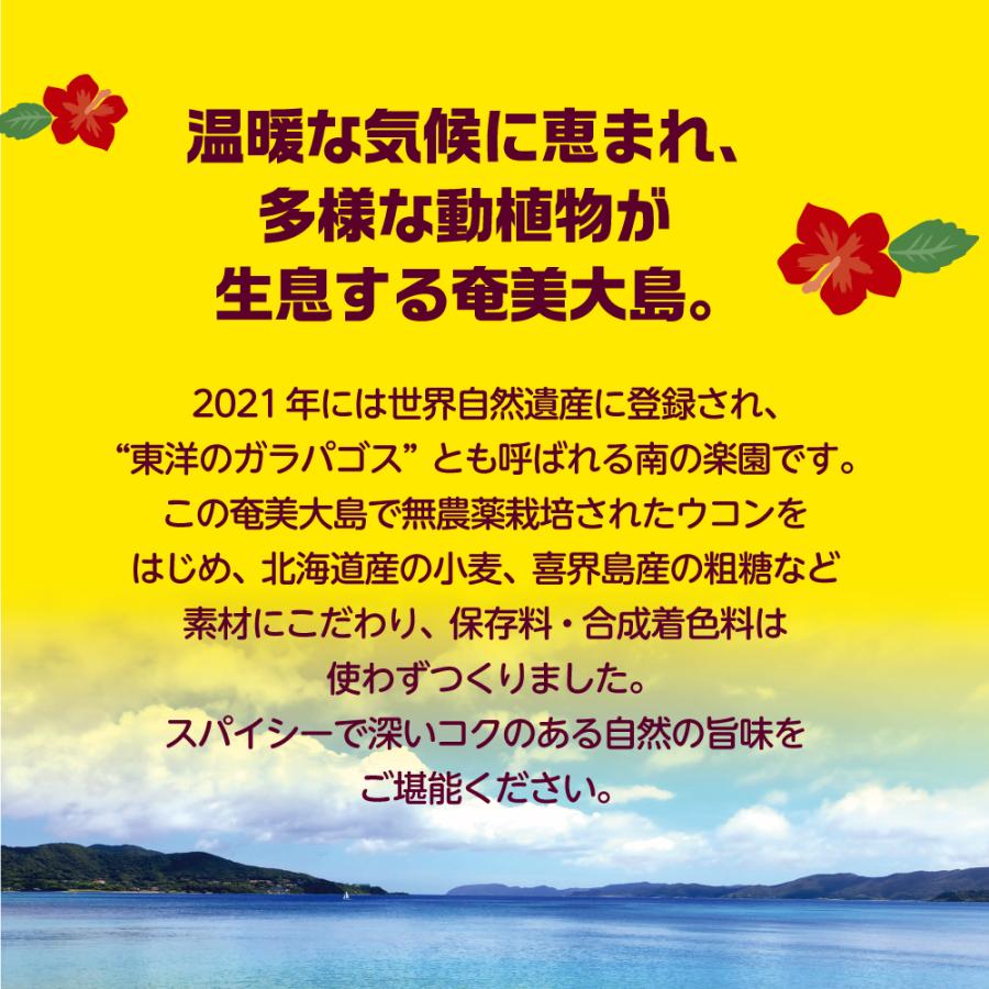 風と光　奄美カレー  中辛 180g　ガラムマサラ付き 単品　新登場 フレークタイプカレールゥ 6皿分 鹿児島県奄美大島産生ウコン｜pricept｜03