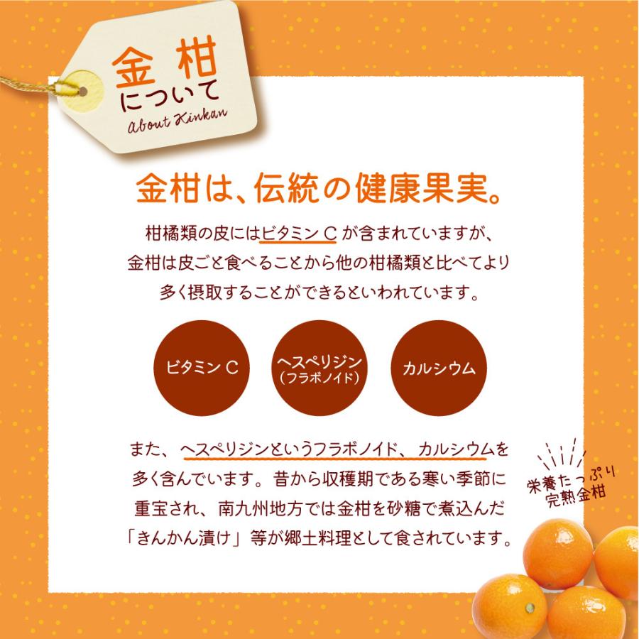 きんかんコンポート 140g 3個組 新登場 甘露煮 鹿児島県産完熟きんかん
