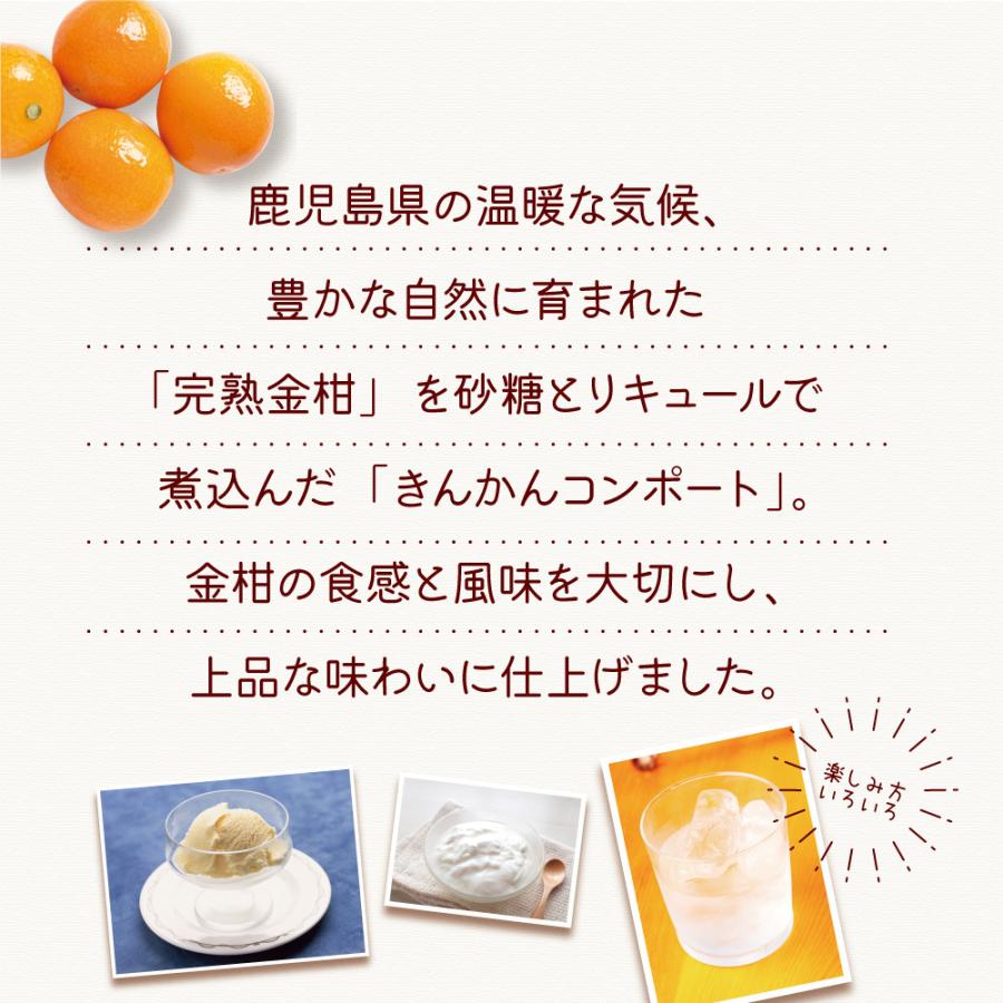 pricept_b8211105-001_3