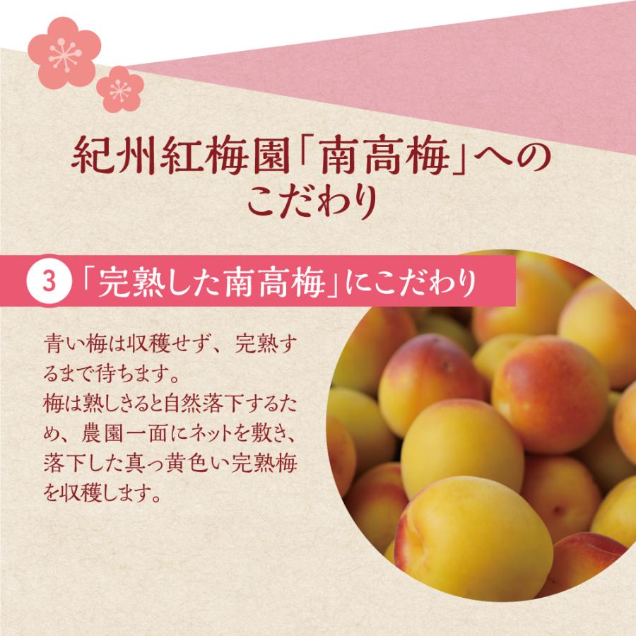 完熟梅シロップ 330g 3個組 新登場 酸味料 香料 人工甘味料等 無添加 4