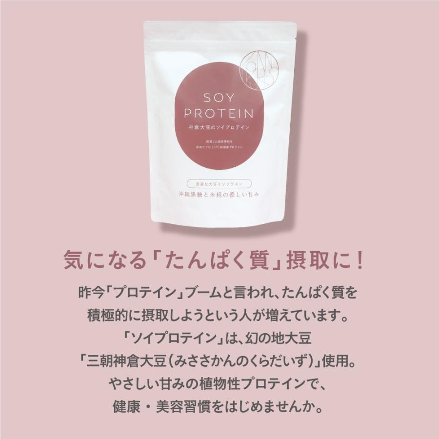 期間限定特価 小西本店 神倉大豆のソイプロテイン 280g 新登場 3個組 送料無料 沖縄黒糖と米糀のやさしい甘み 鳥取県産三朝神倉大豆使用 沖縄県産黒糖の画像