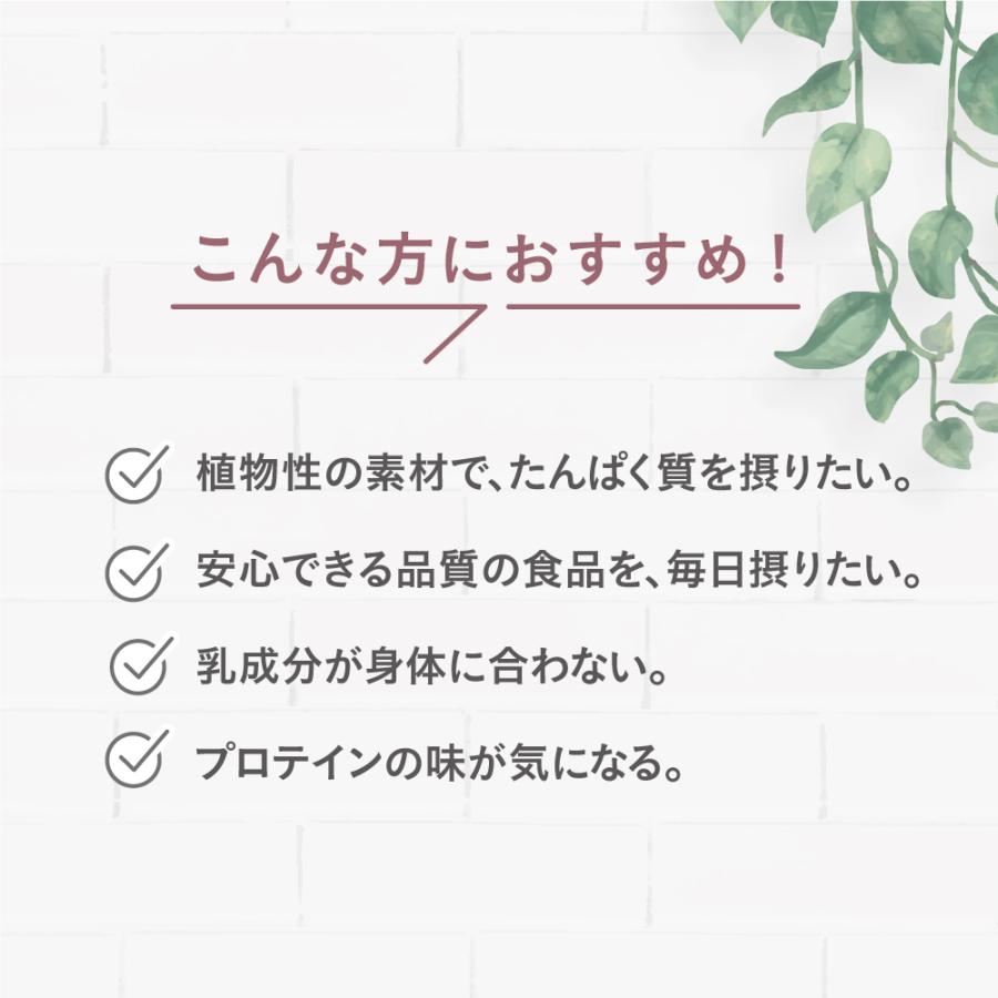 期間限定特価 小西本店 神倉大豆のソイプロテイン 280g 新登場 3個組 送料無料 沖縄黒糖と米糀のやさしい甘み 鳥取県産三朝神倉大豆使用 沖縄県産黒糖の画像