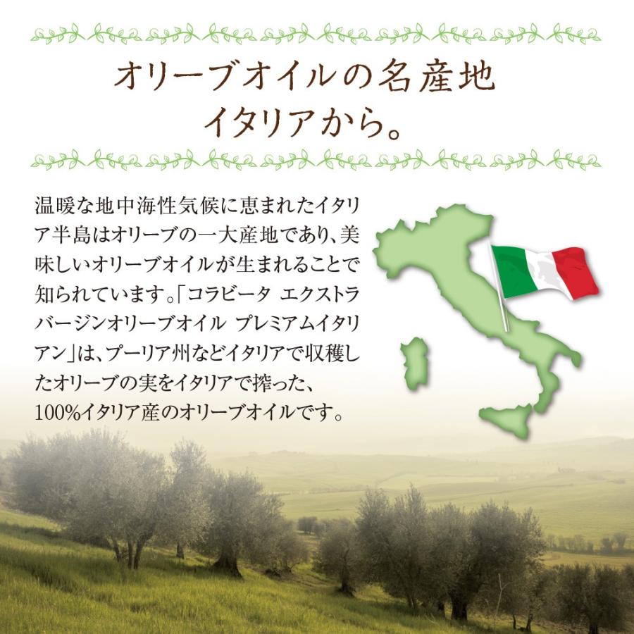 COLAVITA コラビータ エクストラバージン オリーブオイル COLAVITA コラビータ エクストラバージン オリーブオイル