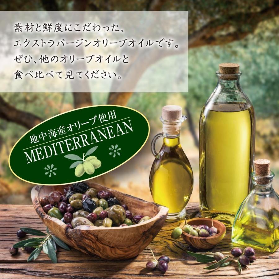 BRUNT トライポッド・トライベーションセット　オリーブ　新品未使用品 DHC オリーブすべすべミニセット(SS) ( 1セット )/ : 爽快ドラッグ