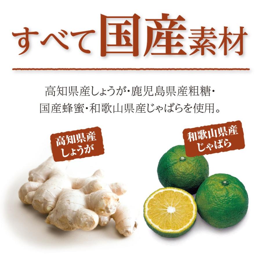 国産生姜シロップ　215g 　単品　香料・保存料無添加　高知県産しょうが・国産粗糖・蜂蜜・じゃばら使用　ジンジャーシロップ｜pricept｜03