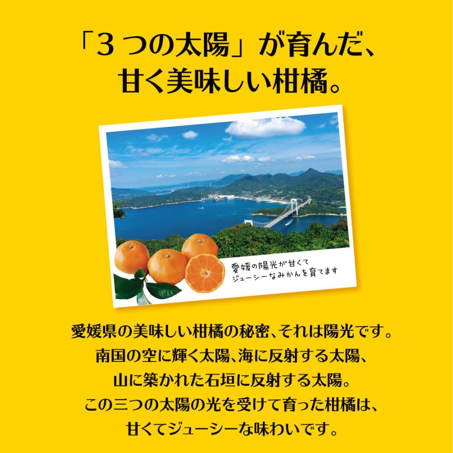 元祖キリン堂　みかんジャム　200g  3個組　新登場  愛媛県産温州みかん約30個分使用 無添加 ペクチン不使用｜pricept｜08