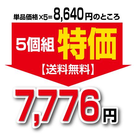 ブラックジンジャーDX 機能性表示食品 60粒 5個組 ゆうパケット配送