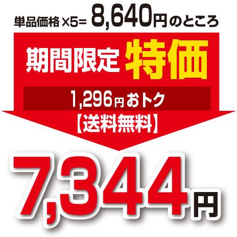 期間限定特価 ブラックジンジャーDX 機能性表示食品 60粒 5個組 ゆう