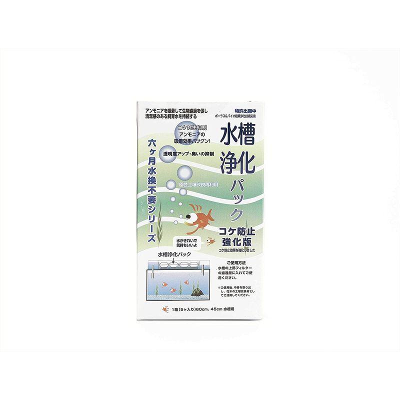 熱い販売 ６カ月水替え不要水槽浄化パック苔防止強化版 Discoversvg Com