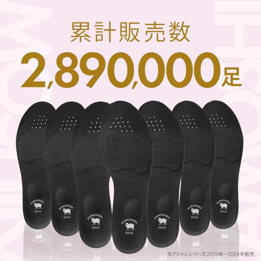 お得な2足セット／カモシカソール インソール ダイエット 中敷き 特許