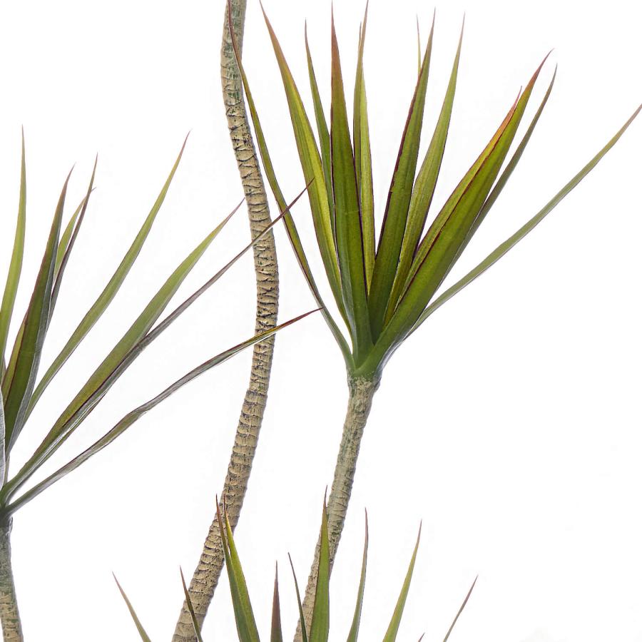 SALE】【公式】ドラセナ PCプランター H125cm 観葉植物 フェイク