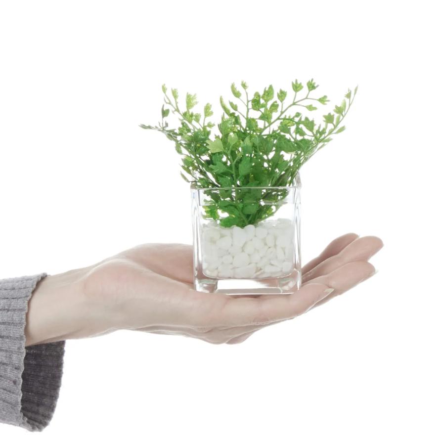 【公式】ウォーターキューブ 3個セット A 観葉植物 フェイクグリーン  | GREENPARK 人工観葉植物 造花 おしゃれ リアルの画像